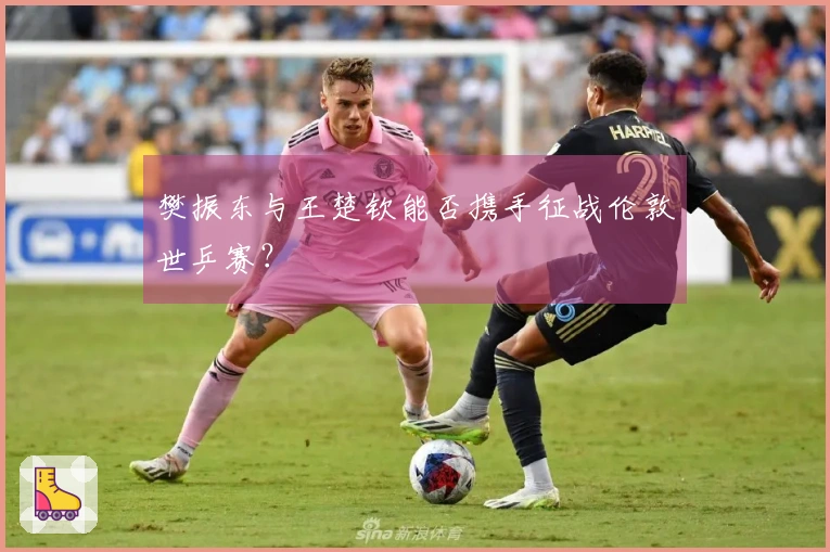 樊振东与王楚钦能否携手征战伦敦世乒赛？