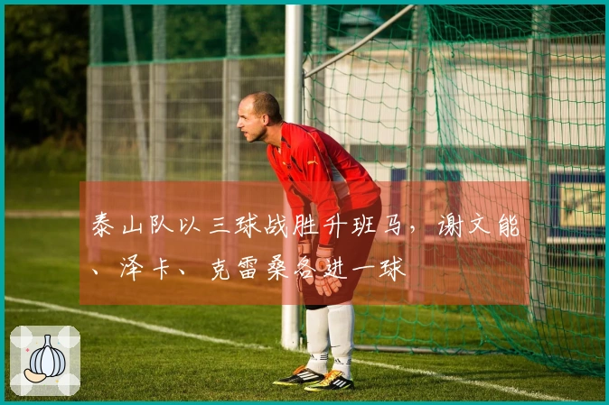 泰山队以三球战胜升班马，谢文能、泽卡、克雷桑各进一球
