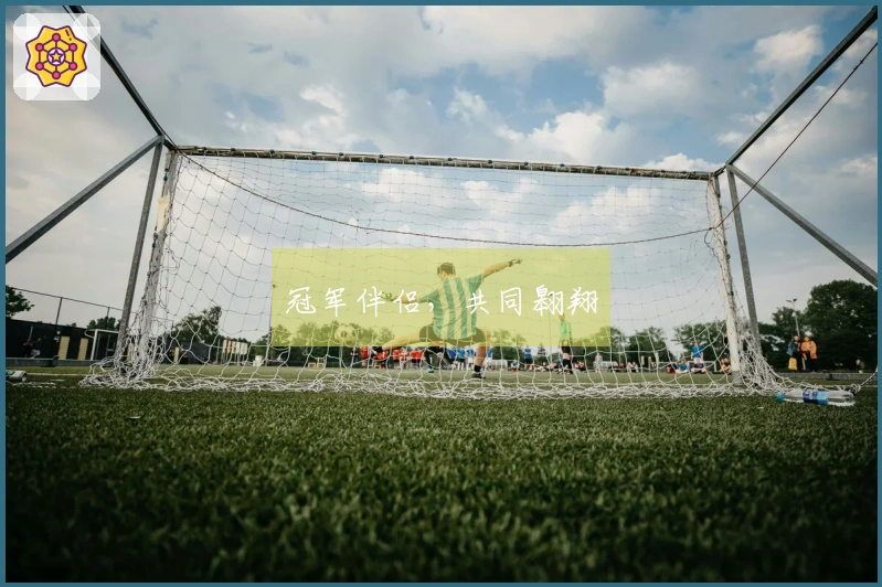 冠军伴侣，共同翱翔